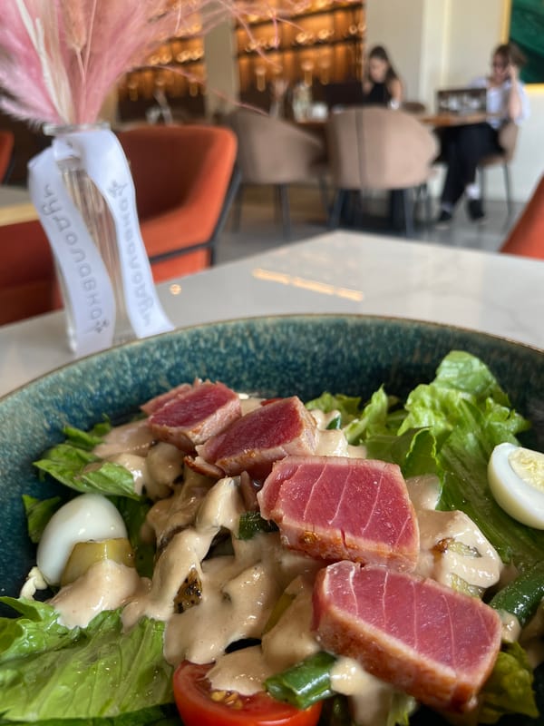Gourmet lunch documented at modern Kazan restaurant