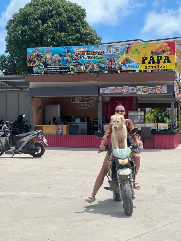Everyday street traffic moves through Koh Phangan, Thailand