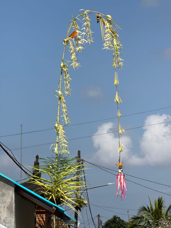 Traditional decorations span Ubud streets for local celebrations