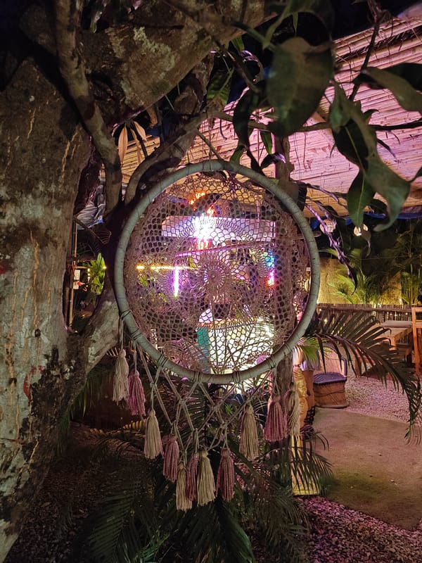 Dreamcatcher spotted hanging from tree in Korgao, India