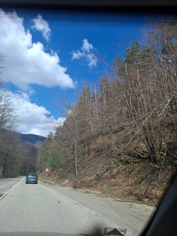 Driver navigates winding forest roads near Barziya, Bulgaria