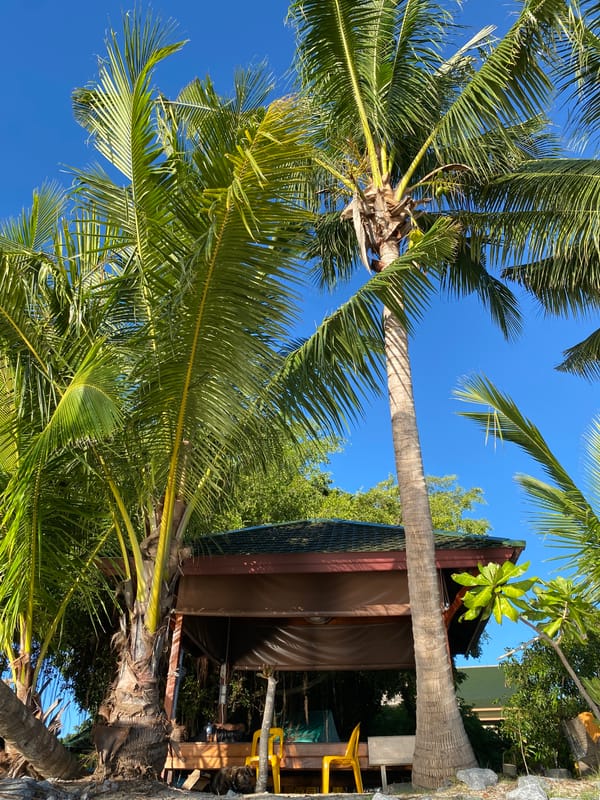 Morning documentation of daily island life in Ko Samui