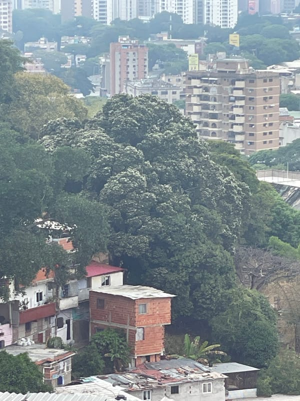 Evening views of dense urban Caracas neighborhoods captured