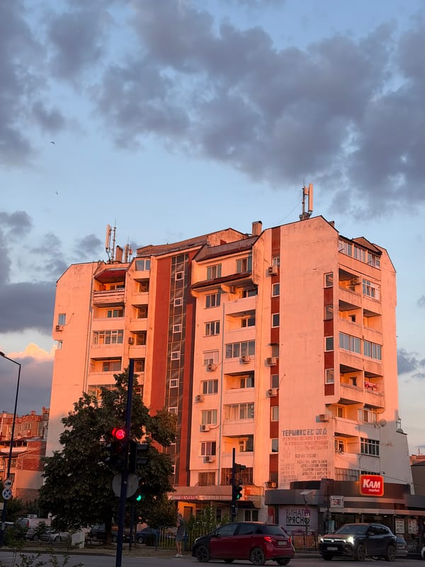 Golden hour across a neighborhood: skies, buildings, and animals