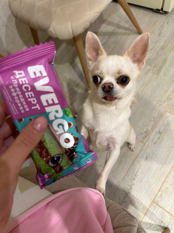 Chihuahua eyes EVERGO snack bars in a Semiluki home