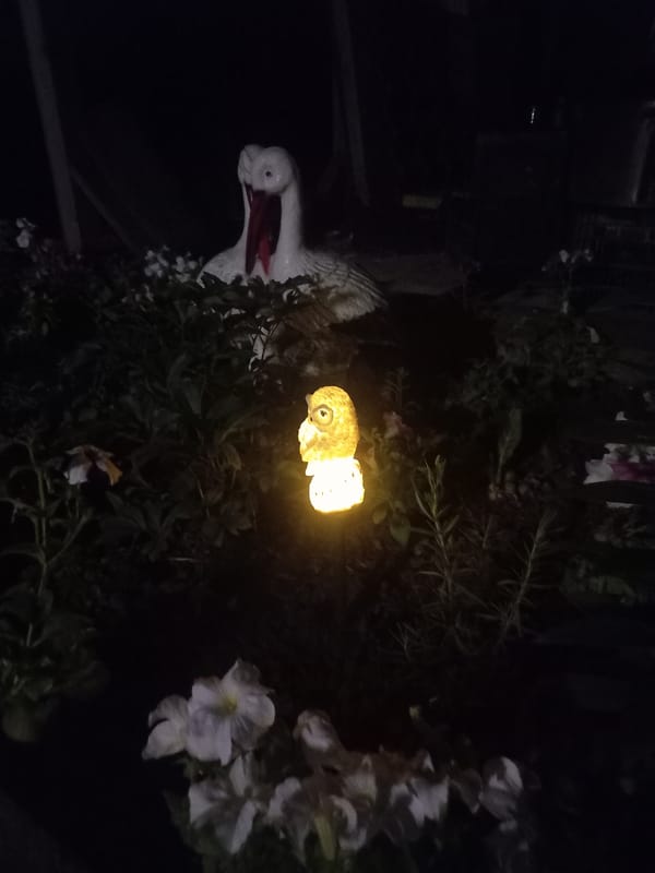 Glowing owl garden light spotted in Ukrainian village
