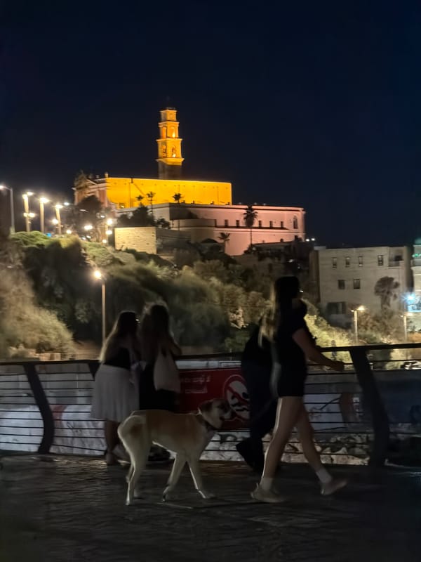 Jaffa's illuminated clock tower and wet cobblestones at night