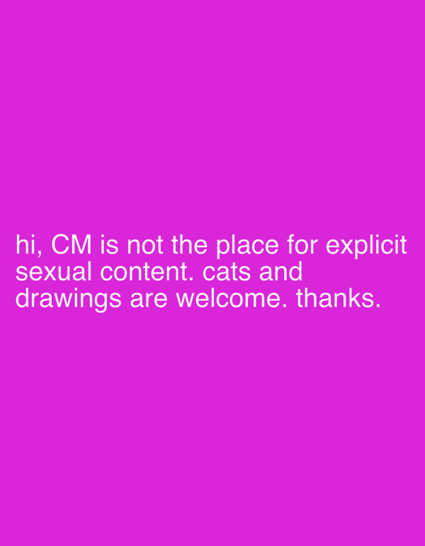 Community moderation notice posted in Erba regarding content guidelines