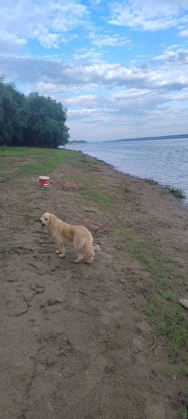 Early morning riverside moments captured in Lom, Bulgaria