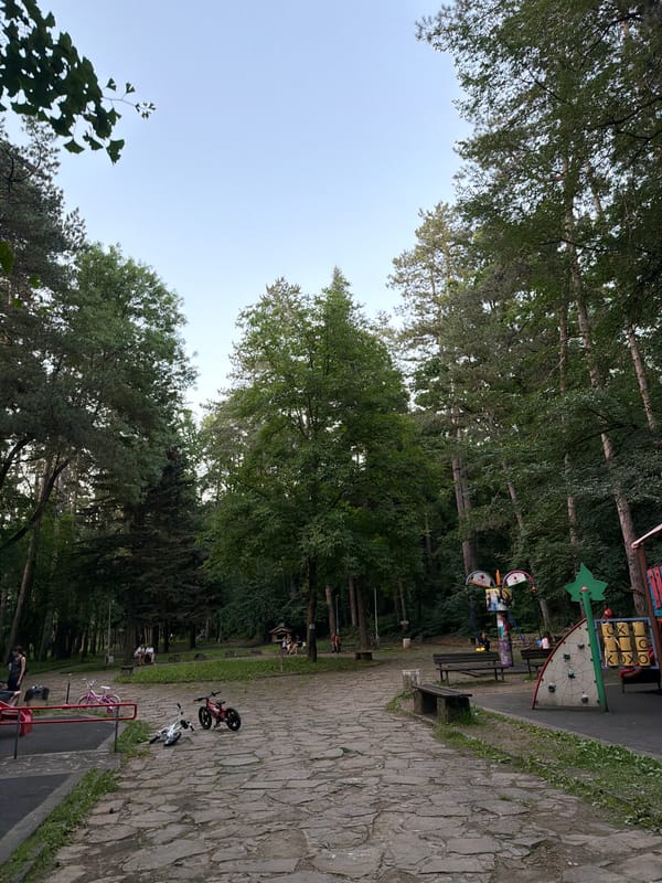 Evening in a Lovech park: paths, pines, and a waterfall
