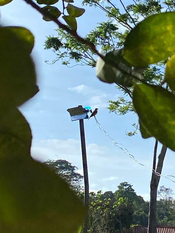 Man poses with cat outdoors in Venezuelan town