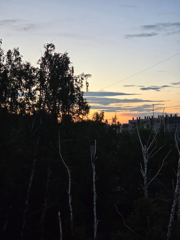Sunset over Chelyabinsk, from treetops to courtyard