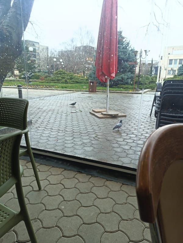 Cafe scenes with Easter decorations captured during snowfall
