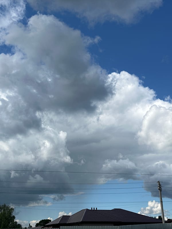 Morning butterfly and cloud watching in Kharnavy, Russia