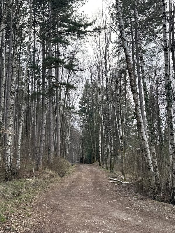 Mixed urban and nature scenes documented around Sofia