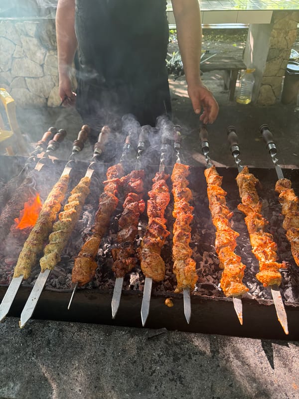 Riverside dining and grilling captured in Abzhanda, Abkhazia