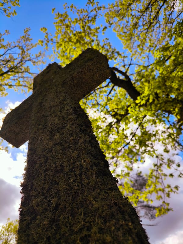 Historic cemetery crosses documented in Bernesti, Latvia