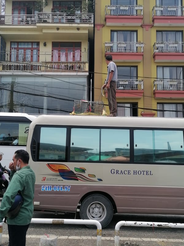 Early morning street life documented in Sa Pa Ward, Vietnam