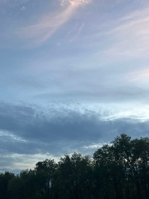 An hour of sky-watching as daylight fades to golden hour