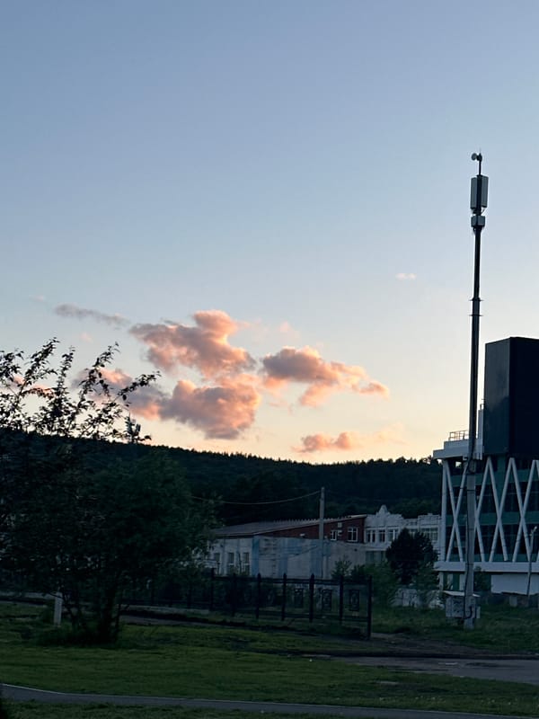 Witness documents mixed urban-natural landscape during afternoon walkthrough