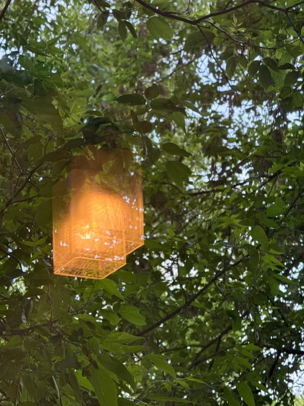 Moscow afternoon captures bird feeding, laptop use, mysterious orange object