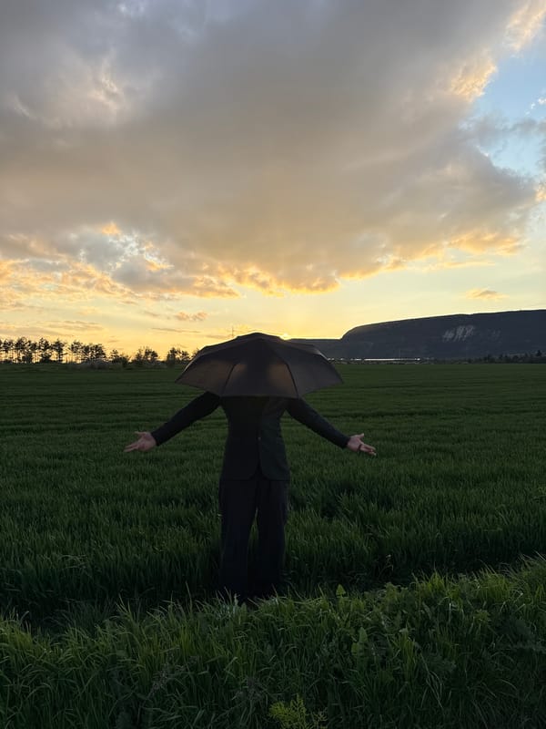 Person with umbrella poses in Bulgarian field at sunset