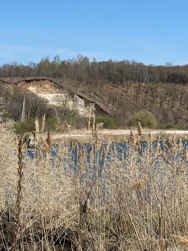 Woman photographs scenic roadside location during early morning outing