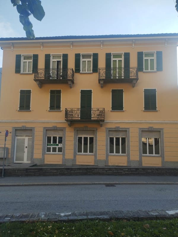 Single witness captures diverse street scenes, flora in Biasca, Switzerland