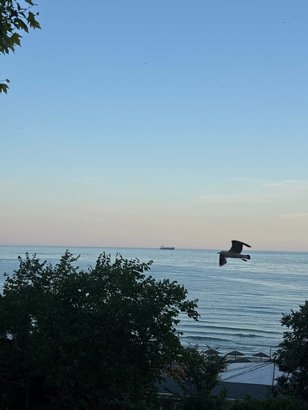 Dusk to night along Varna's beach bar strip