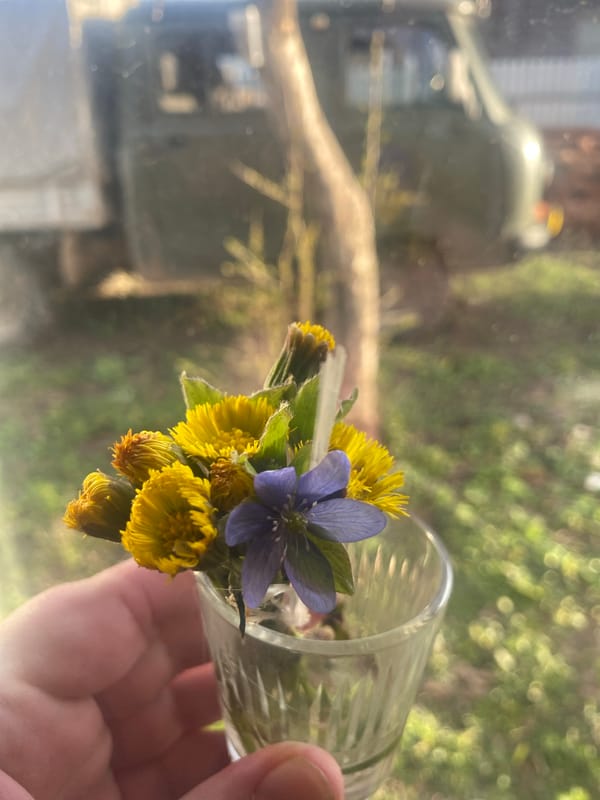 Casual afternoon documented in rural Russia through personal photographs