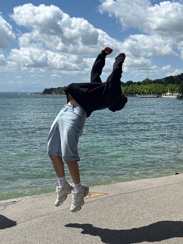 Person performs backflips at Bavaria's Lake Starnberg amid swans
