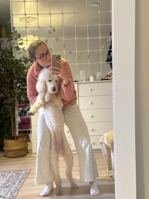 Person takes mirror selfie with poodle in Krasnoyarsk