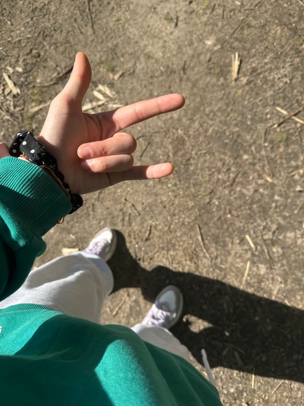 Spring nature walk documented around Combreux lake and forest