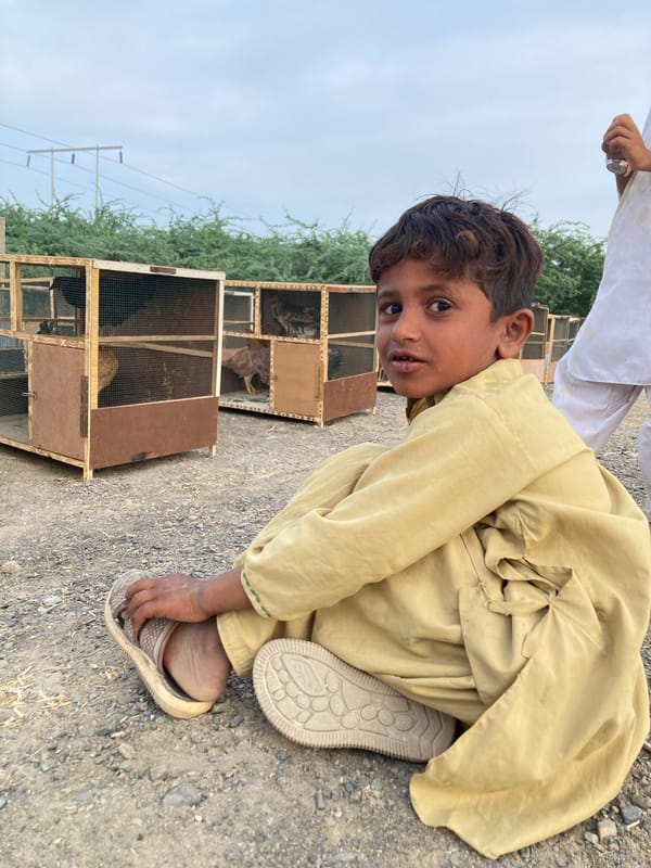 Poultry market operates in rural Wayāro, Pakistan