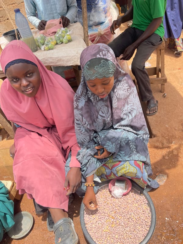 Daily market activity recorded in Zaria, Nigeria