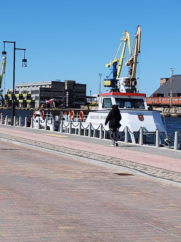 Waterfront art installations and harbor scenes documented by witness