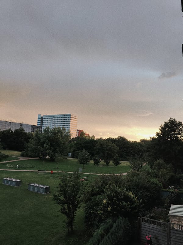 Urban park at dusk, buildings on the horizon