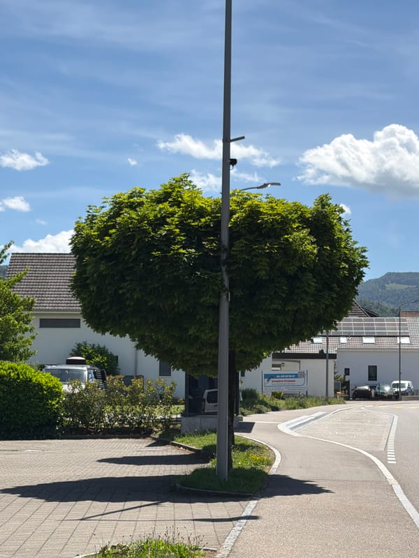 Witness documents 30 everyday moments across suburban landscapes