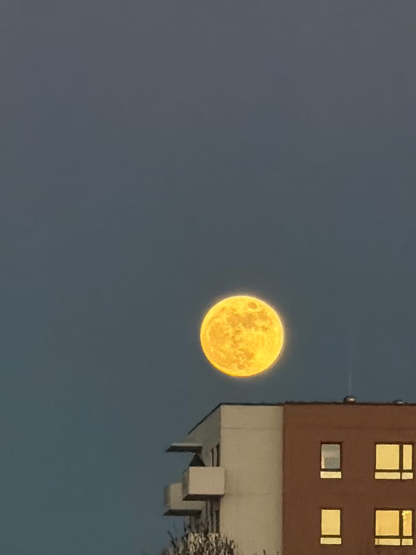 Full moon observed over Riga building at evening