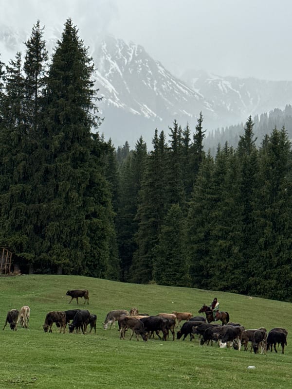 Livestock graze in mountain pastures near Jeti-Ögüz, Kyrgyzstan