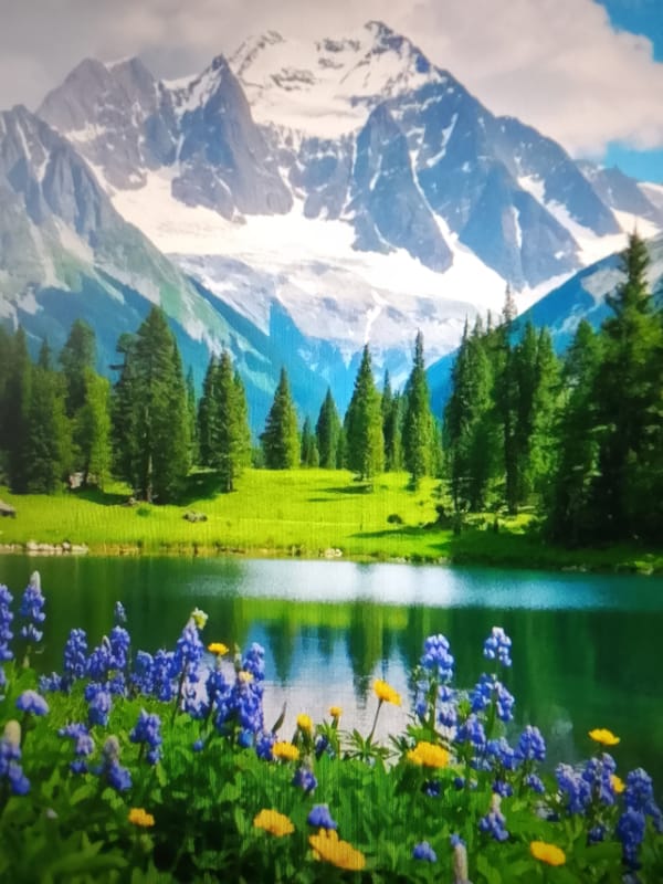 Nature scenes and wildlife, from wildflowers to mountain sunsets