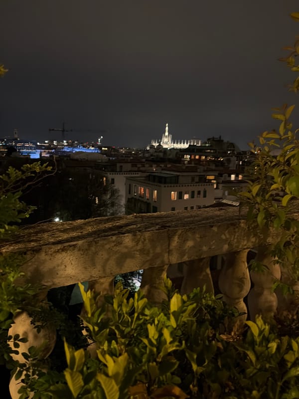 Nighttime cityscape with ornate structure observed through foliage