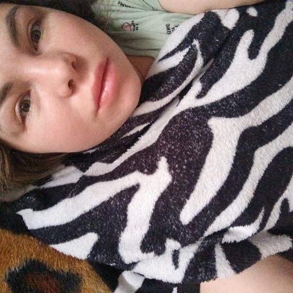 Person rests under zebra-print blanket in early morning