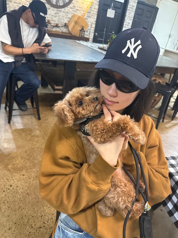 Woman with poodle enjoys cheesesteak at Pottstown cafe