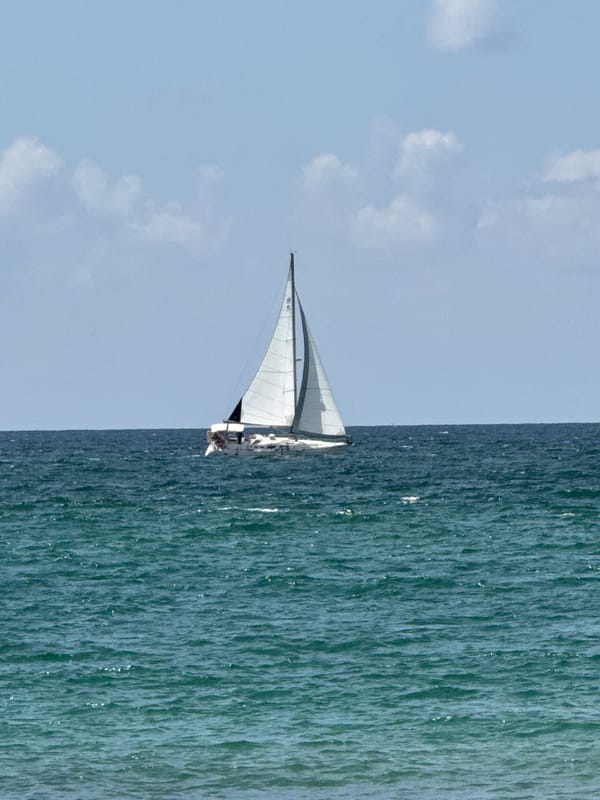 Busy beach day in Tel Aviv draws crowds, water sports