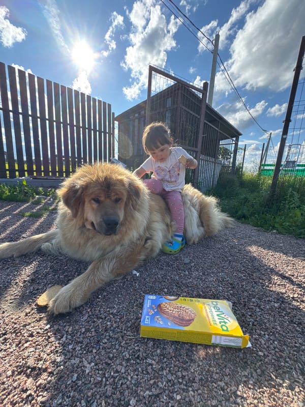 Toddler and big fluffy dog share a lazy afternoon in Kempelevo