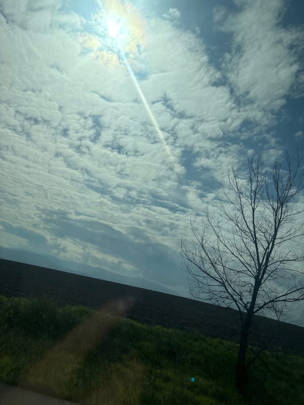Rural landscape photographed in Kadievo, Bulgaria showing sunny skies