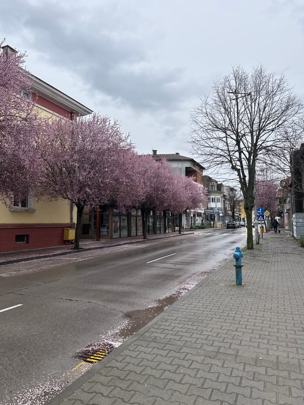 Spring afternoon scenes captured in Svilengrad, Bulgaria