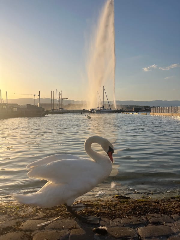 Geneva's Jet d'Eau at golden hour, summer solstice