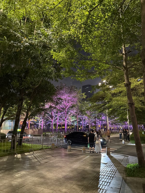 Nighttime street scenes documented in Futian District, Shenzhen